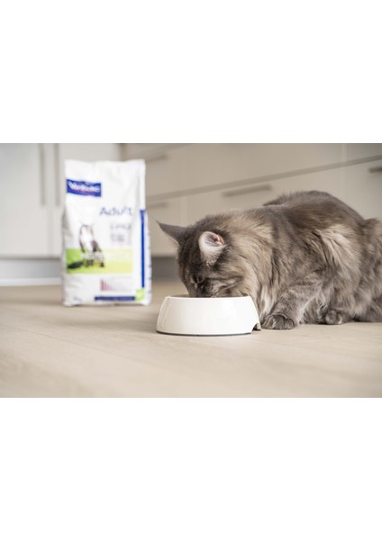Adult Cat Salmon Neutered&entire 12 kg Yeni modelleri