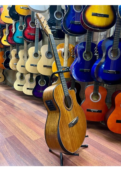 Elektro Akustik Gitar Sahne Gitarı fiyatları