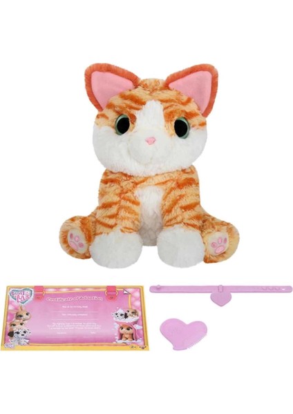 Bfs Scruff A Luvs Klasik Seri Sürpriz Kutu CRU10000 modelleri