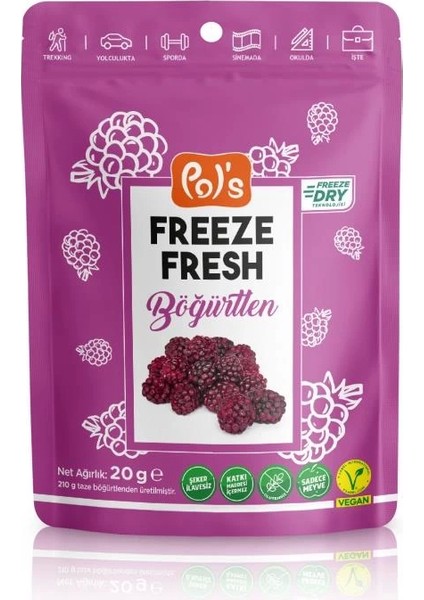 Pol’s Freeze Fresh Dondurularak Kurutulmuş Böğürtlen 20 gr