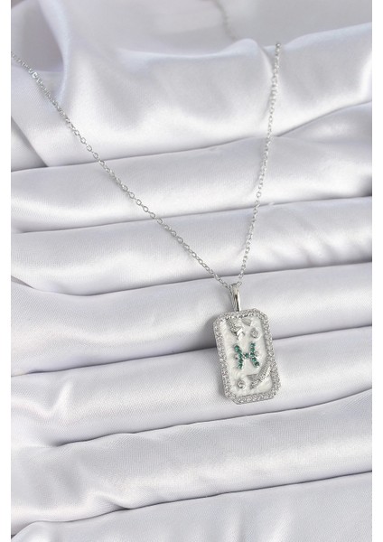 Bfs 316L Çelik Gümüş Renk Zincir Balık Burcu Zirkon Taşlı Kadın Kolye fiyatları