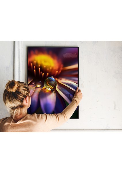 Metal Çerçeveli Gerçek Camlı Tablo - Dijital Baskı - Mor Çiçek ve Su Damlası fırsatları