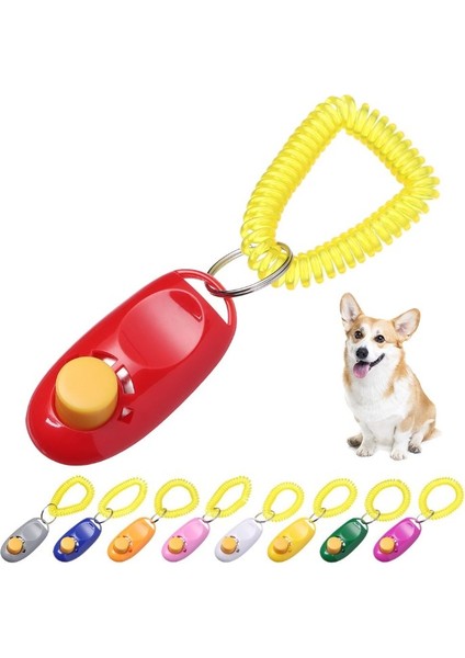 Köpek Eğitimi Clicker fırsatları