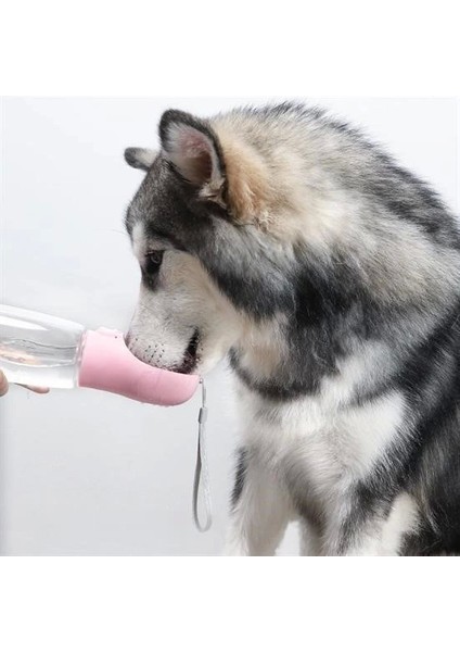 Bfs Taşınabilir Evcil Hayvan Suluğu Seyahat Kabı Kilitlenebilen Su Sızdırmaz Kap 350 ml fırsatları