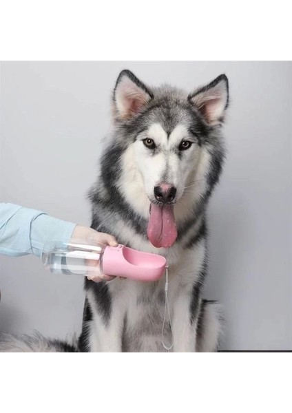 Bfs Taşınabilir Evcil Hayvan Suluğu Seyahat Kabı Kilitlenebilen Su Sızdırmaz Kap 350 ml