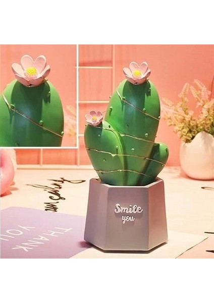 Bfs LED Işıklı Kaktüs Biblo Ev Dekorasyon ve Hediyelik Eşya LED Aydınlatma fiyatları