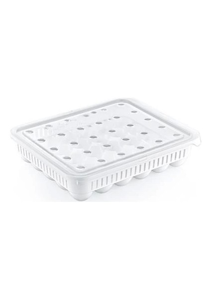 Bfs 30LU Yumurta Saklama Kabı