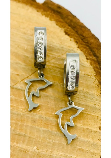 Gümüş Renk Figürlü Çelik Küpe