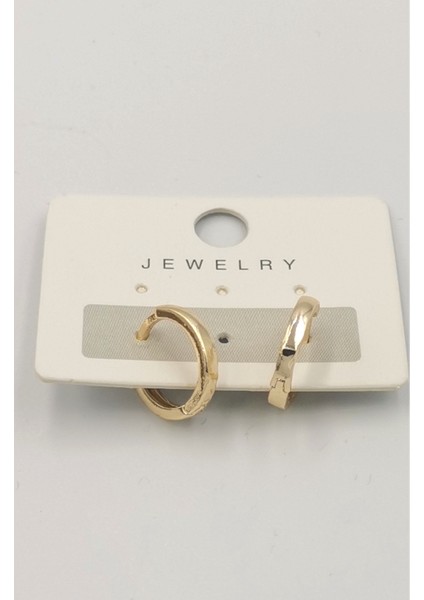 Renkli Çelik Figürlü Lüks Tasarım Küpe modelleri