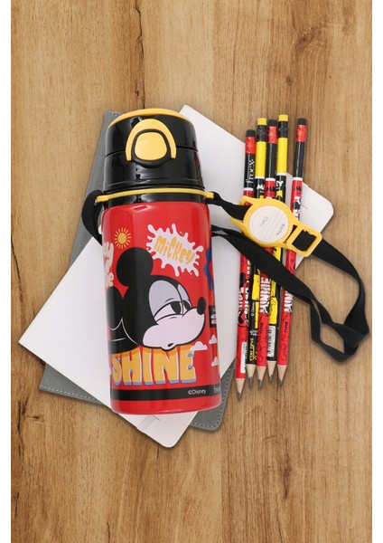 Mıckey Mouse Çelik Matara Salto 500Ml R&S fırsatları