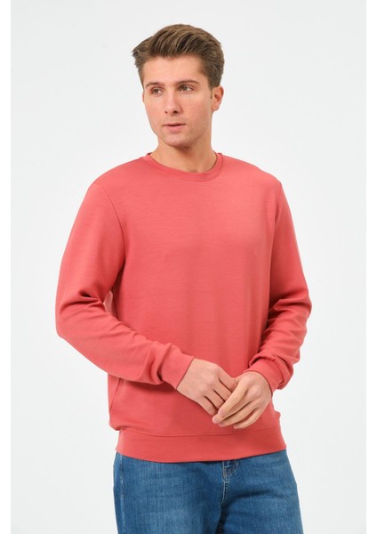 Erkek Oversize Bisiklet Yaka Sucuba Sweatshirt fiyatları