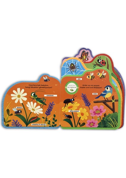 Bul Bakalım - Böcekler fiyatları