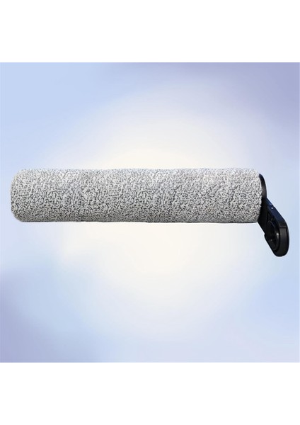 Roborock F25 / F25 Ace Için 2 Rulo Fırça ve 4 Filtre (Yurt Dışından) fırsatları