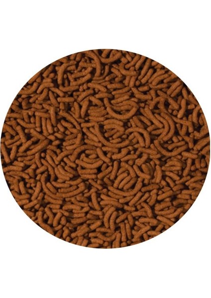 Cichlid Arowana Medium Sticks 250GR - Kovadan Bölme