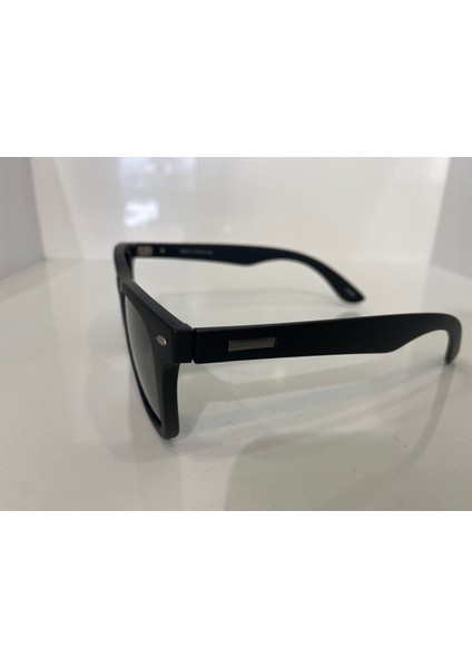 Polarize Güneş Gözlüğü 6002-2 C101M fiyatları
