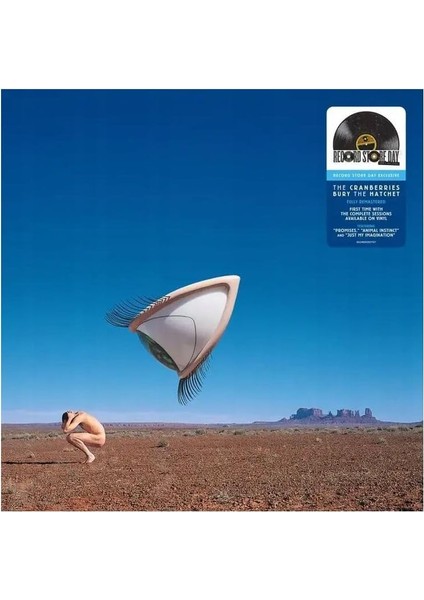 The Cranberries ‎– Bury The Hatchet Plak 2 Lp