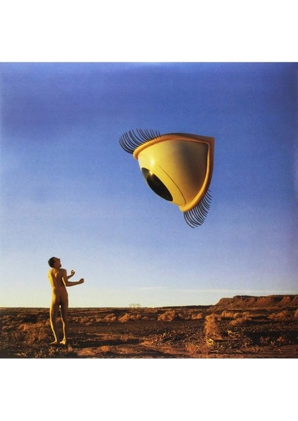 The Cranberries ‎– Bury The Hatchet Plak 2 Lp fiyatları