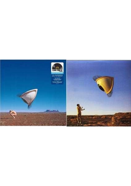 The Cranberries ‎– Bury The Hatchet Plak 2 Lp modelleri