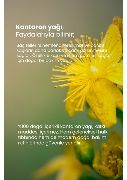 Kantaron Yağı 10 ml modelleri