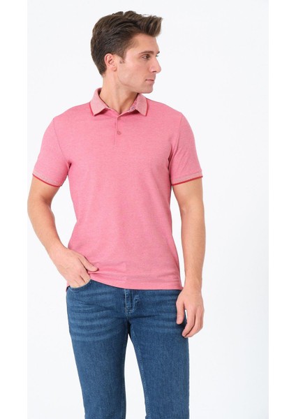 Erkek Basic Tişört Polo Yaka T-Shirt fiyatları