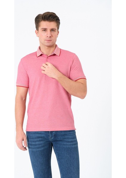 Erkek Basic Tişört Polo Yaka T-Shirt modelleri