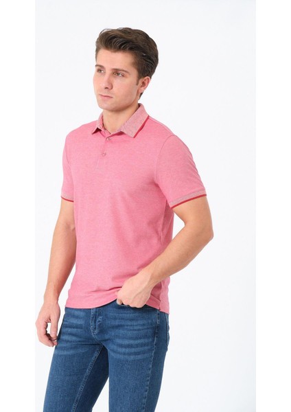 Erkek Basic Tişört Polo Yaka T-Shirt fırsatları