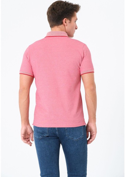 Erkek Basic Tişört Polo Yaka T-Shirt indirimleri