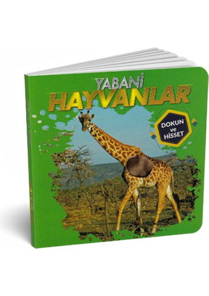 Yabani Hayvanlar - Dokun ve Hisset