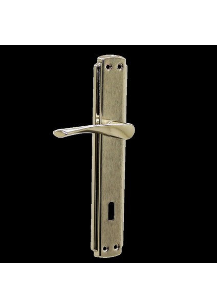 Bravo Oda Gri Nikel Kapı Kolu Takım (4887)