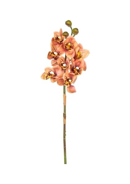 Yapay Orkide Gerçek Dokulu Somon 75 cm fiyatları