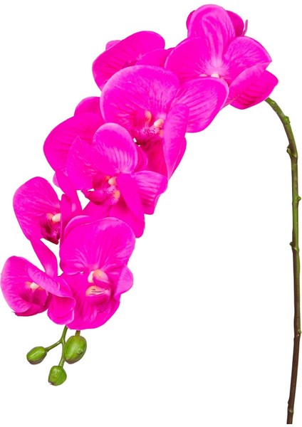 Yapay Orkide Gerçek Dokulu Fuşya 90 cm