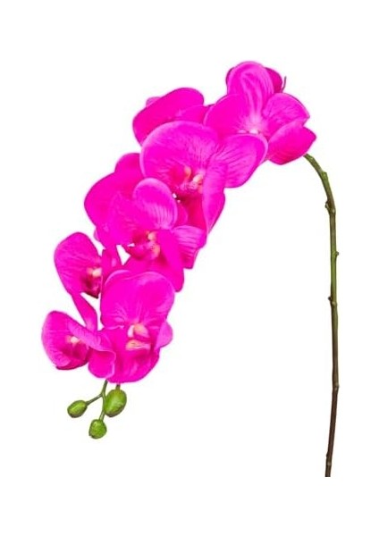 Yapay Orkide Gerçek Dokulu Fuşya 90 cm fiyatları