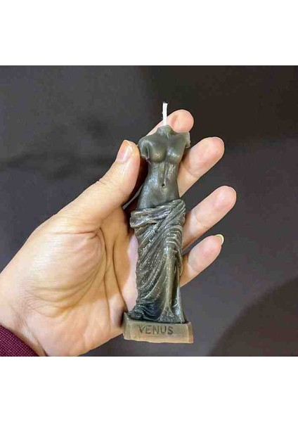 Venus Mum fiyatları