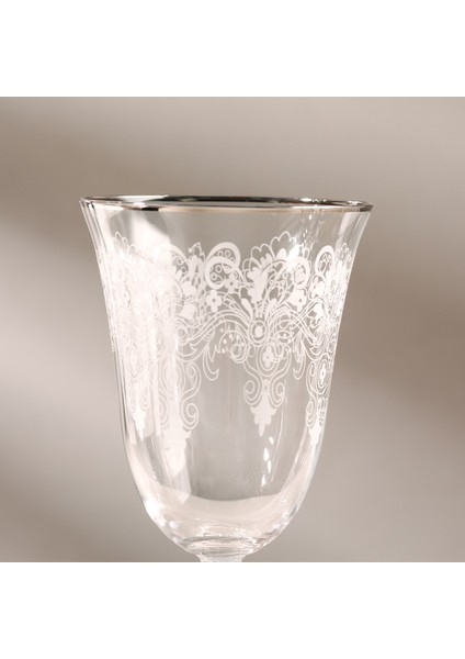 Platin Su Seti 25 Parça fırsatları