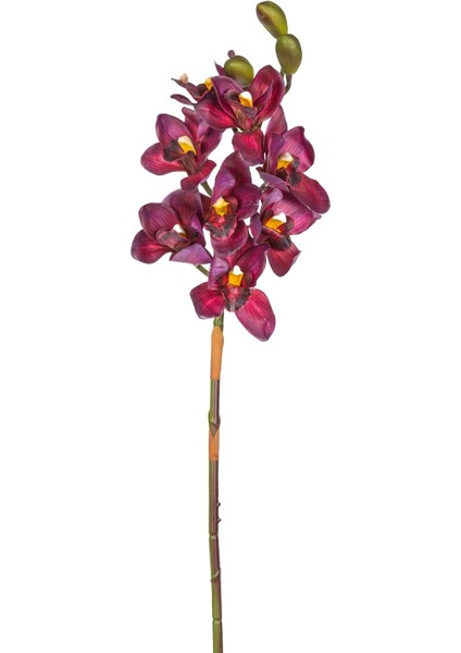 Yapay Orkide Gerçek Dokulu Bordo 75 Cm.