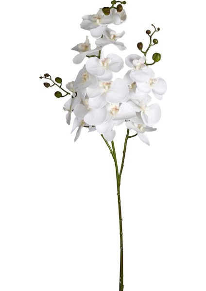 Çiçek Orkide 3 Dallı Beyaz 118 Cm.