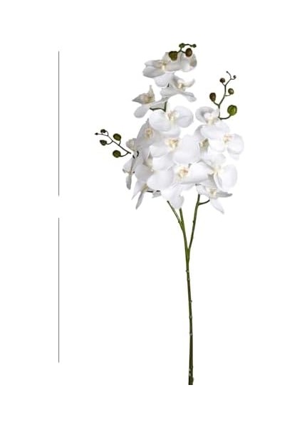 Çiçek Orkide 3 Dallı Beyaz 118 Cm. fiyatları