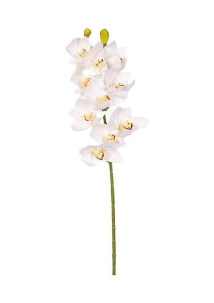 Yapay Orkide Gerçek Dokunuş Beyaz-Sarı 75 Cm. fiyatları