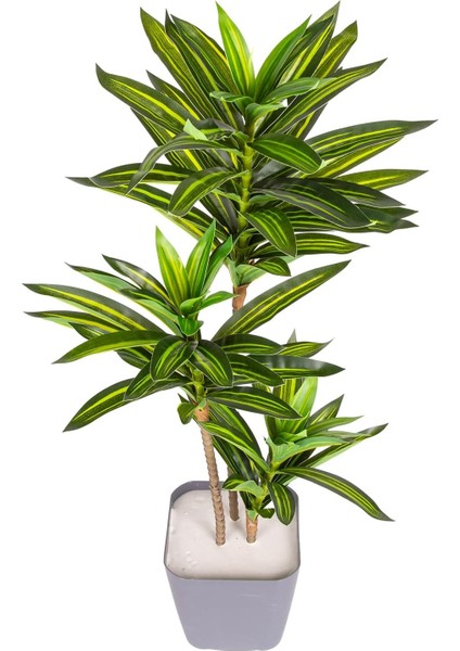 Yapay Dracena Gerçek Dokulu 72 Cm.