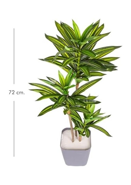 Yapay Dracena Gerçek Dokulu 72 Cm. fiyatları