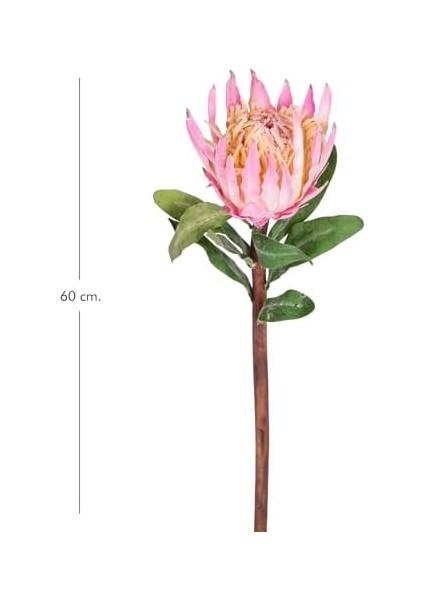 Yapay Protea Çiçeği Pembe 60 Cm. fiyatları