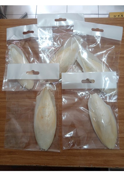 Temizlenmiş Mürekkep Balığı (Kalamar) Kemiği 5 Adet 10 cm