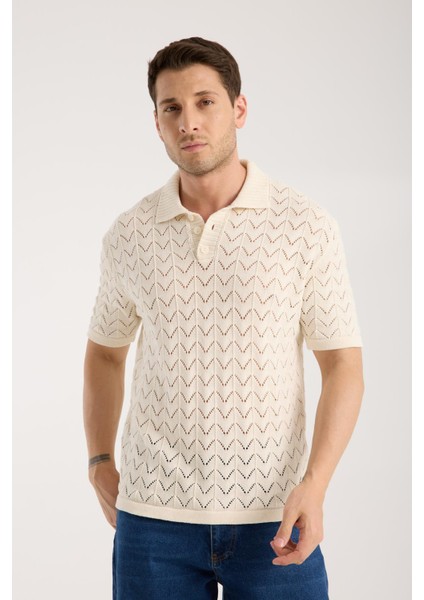 Erkek Polo Yaka Krem Zigzag Desenli Kısa Kollu Triko Tişört fırsatları