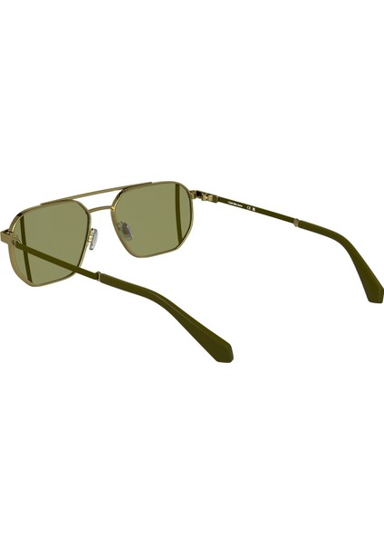 CKJ25202S-717 Unisex Güneş Gözlüğü modelleri