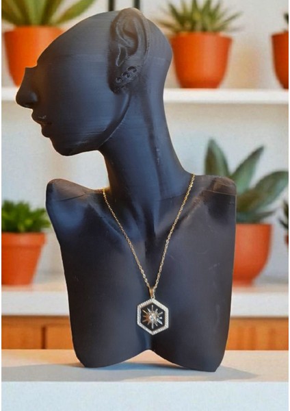 Çelik Siyah & Gold Mineli Zirkon Taşlı Kolye fiyatları