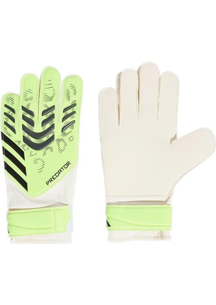 Yeşil Kaleci Eldiveni PRED GL TRN JN5356