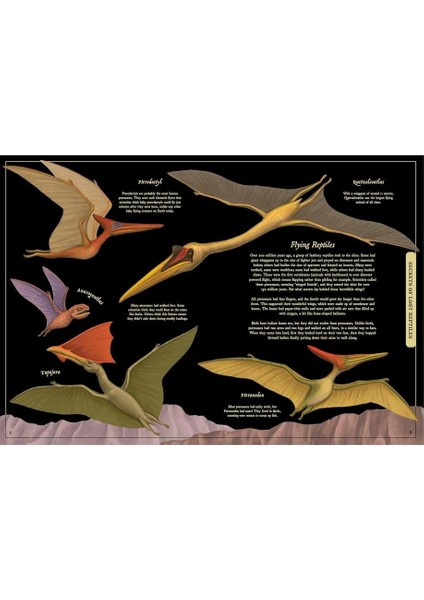 Secret Stories Of Lost Beasts fiyatları
