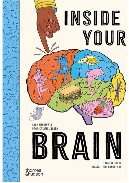 Inside Your Brain
