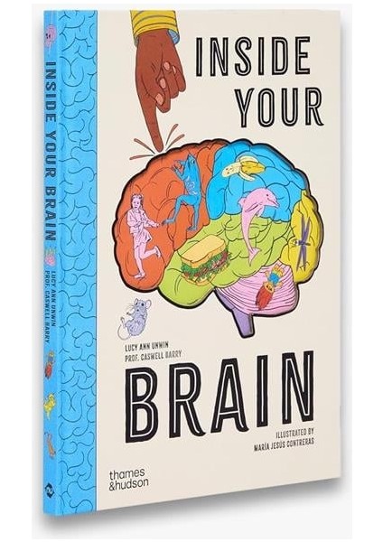 Inside Your Brain