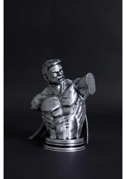 Omni-Man - Figür / Büst